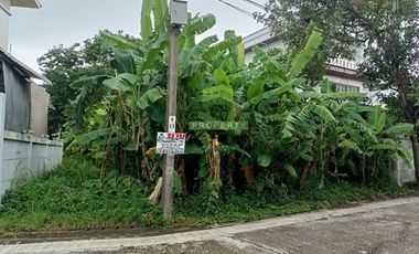 For sale land in Saphan Sung, Bangkok