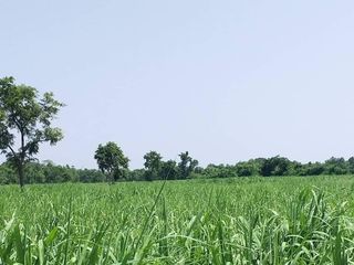 For sale land in Non Sung, Nakhon Ratchasima