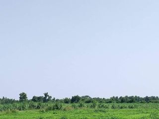 For sale land in Non Sung, Nakhon Ratchasima