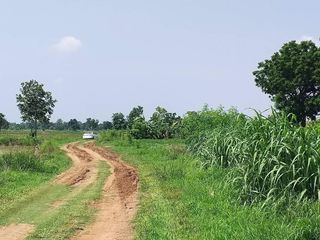 For sale land in Non Sung, Nakhon Ratchasima
