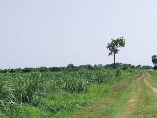 For sale land in Non Sung, Nakhon Ratchasima