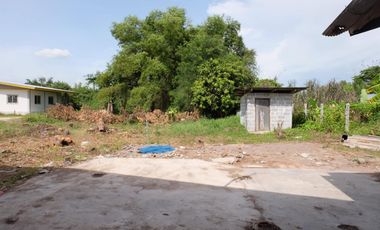 ขาย ที่ดิน ใน พานทอง, ชลบุรี