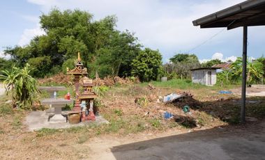 ขาย ที่ดิน ใน พานทอง, ชลบุรี