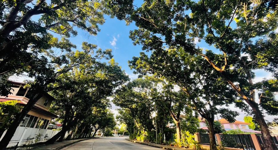 ขาย สตูดิโอ บ้านเดี่ยว ใน เมืองปทุมธานี, ปทุมธานี
