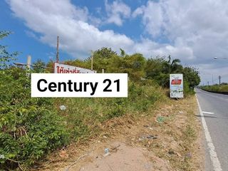 For rent land in Nong Yai, Chonburi