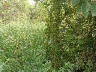 For sale land in Pak Tho, Ratchaburi