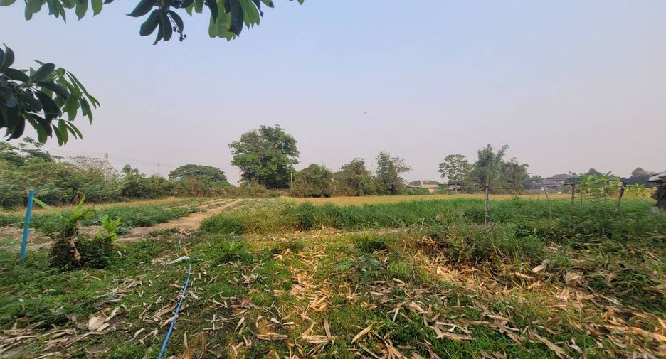 For sale land in Mueang Chiang Rai, Chiang Rai