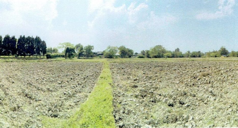 For sale land in Mueang Chiang Rai, Chiang Rai