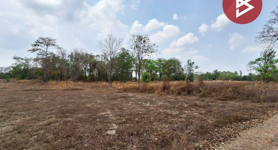 For sale land in Nong Chang, Uthai Thani