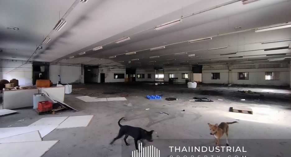 For rent warehouse in Bang Pakong, Chachoengsao