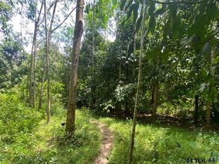 出售 土地 在 Kapho, Pattani