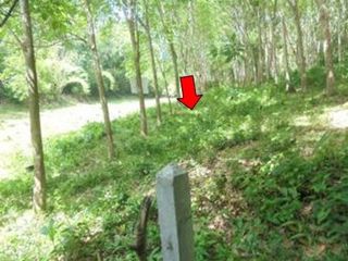 出售 土地 在 Kapho, Pattani