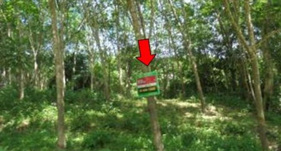 For sale land in Kapho, Pattani