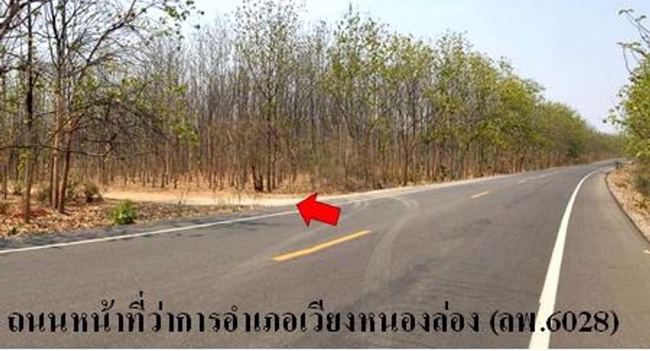 出售 土地 在 Ban Hong, Lamphun