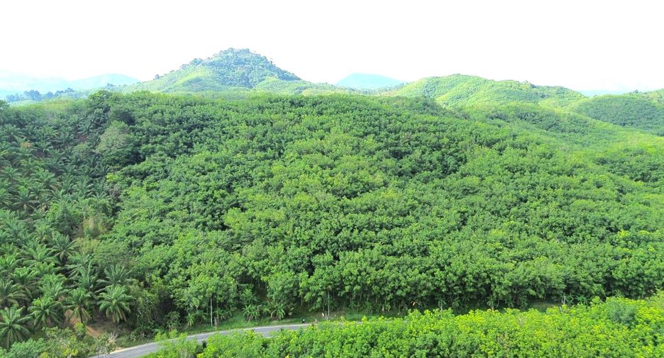 For sale land in Takua Thung, Phang Nga