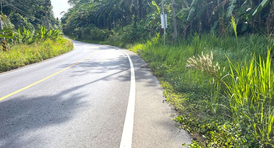 For sale land in Takua Thung, Phang Nga