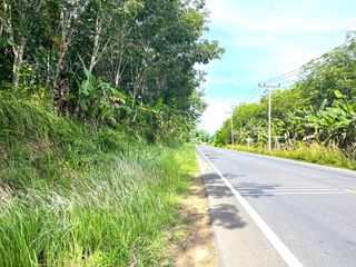 For sale land in Takua Thung, Phang Nga