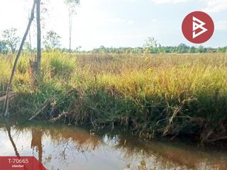For sale land in Sang Khom, Udon Thani
