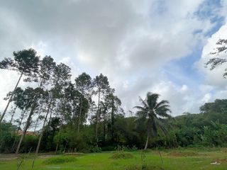出售 土地 在 Takua Thung, Phangnga