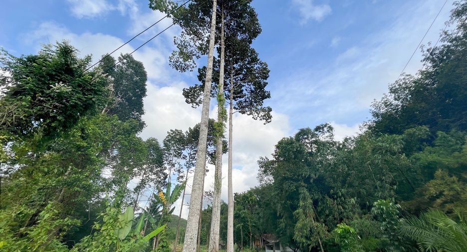 For sale land in Takua Thung, Phang Nga