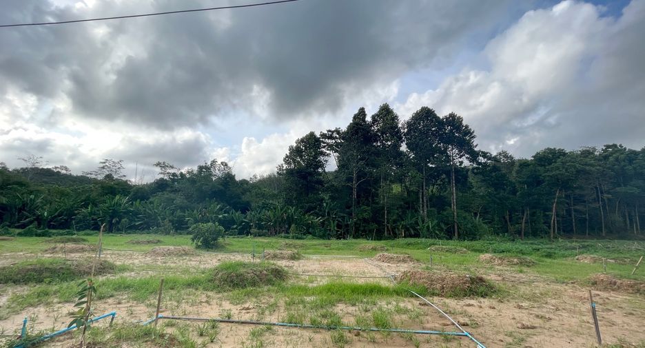 For sale land in Takua Thung, Phang Nga