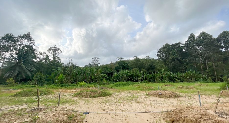 For sale land in Takua Thung, Phang Nga