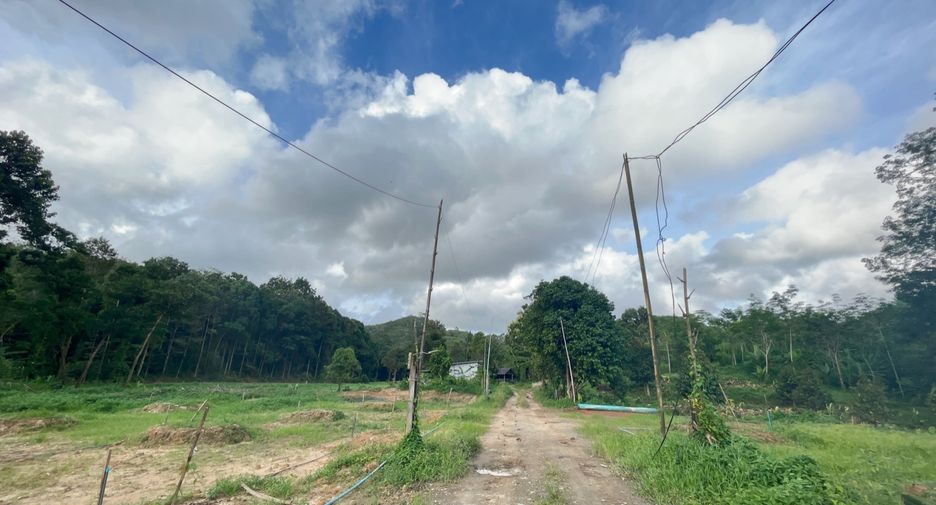 For sale land in Takua Thung, Phang Nga