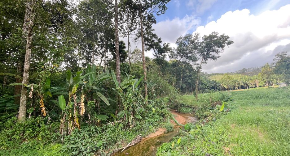 For sale land in Takua Thung, Phang Nga
