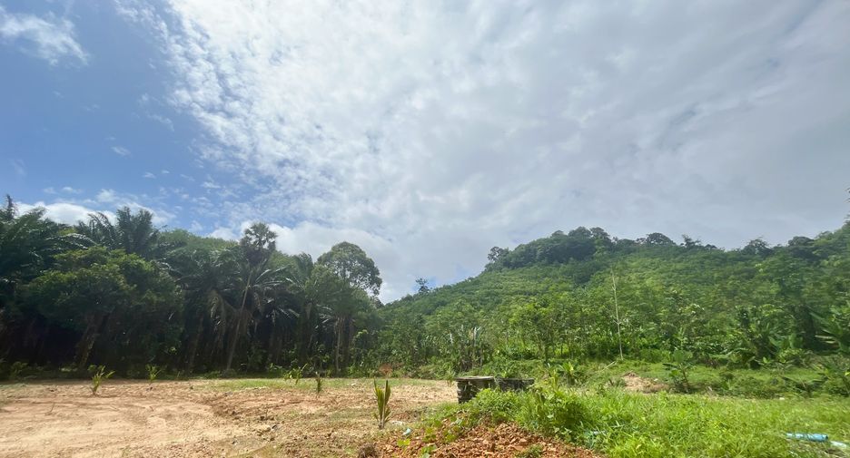 For sale land in Takua Thung, Phang Nga