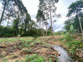 出售 土地 在 Takua Thung, Phangnga