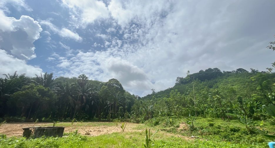For sale land in Takua Thung, Phang Nga