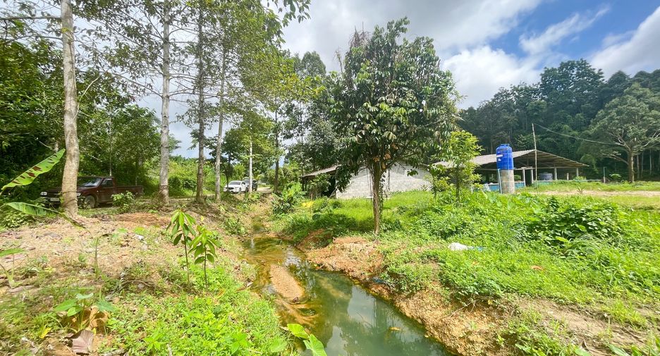For sale land in Takua Thung, Phang Nga
