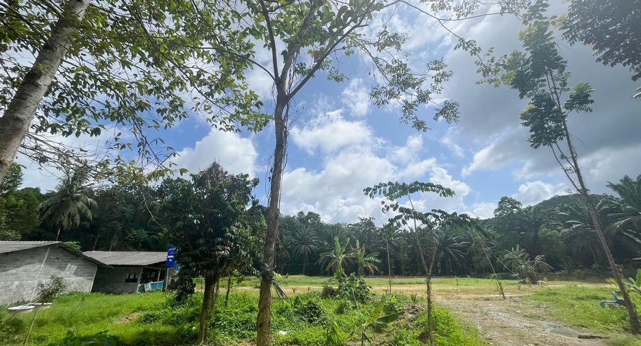 For sale land in Takua Thung, Phang Nga