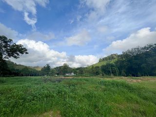 出售 土地 在 Takua Thung, Phangnga