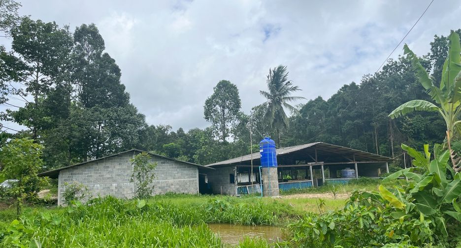 For sale land in Takua Thung, Phang Nga