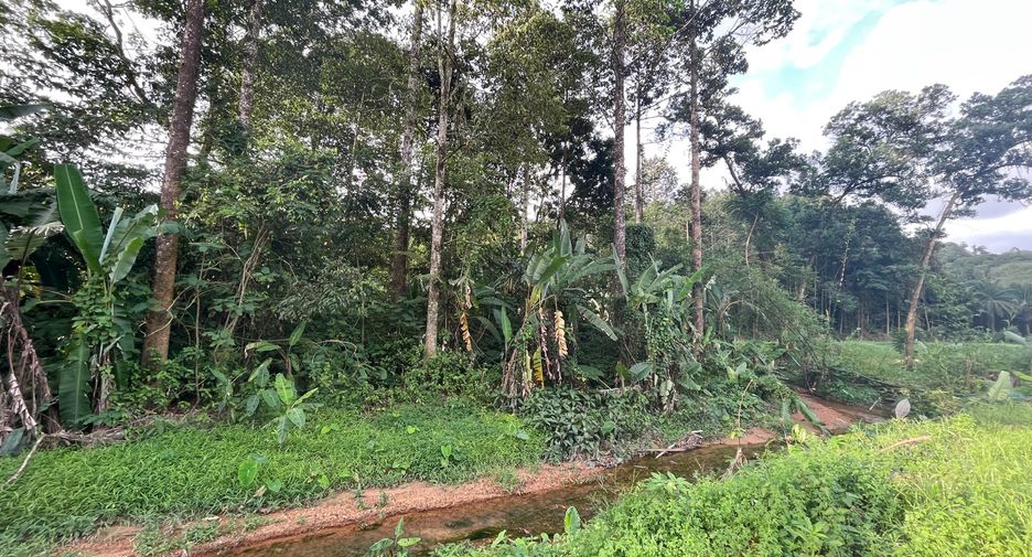 For sale land in Takua Thung, Phang Nga