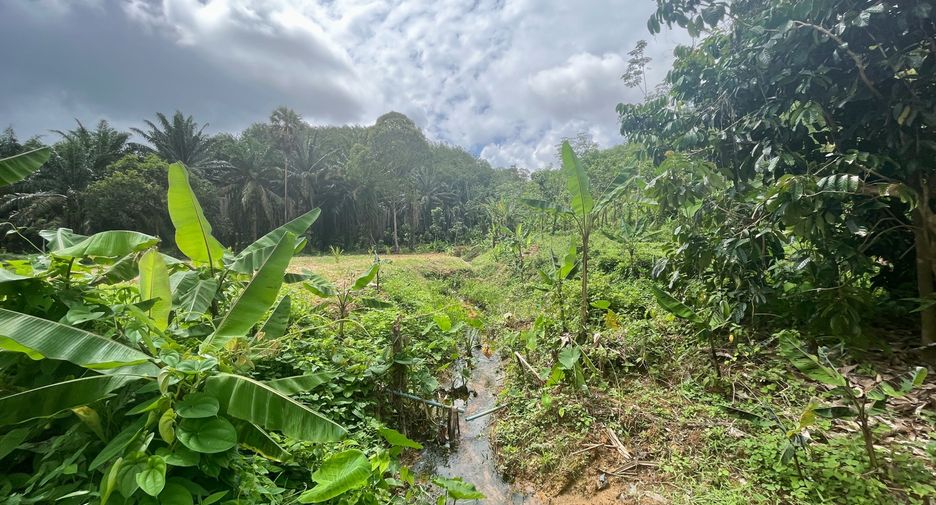 For sale land in Takua Thung, Phang Nga