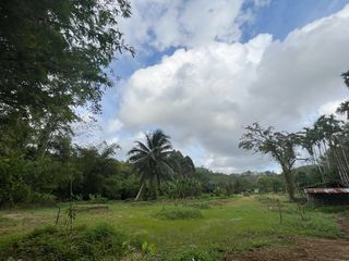 出售 土地 在 Takua Thung, Phangnga