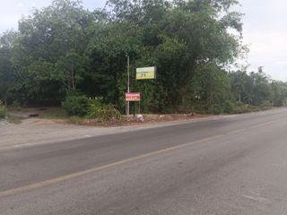 For sale land in Kanchanadit, Surat Thani