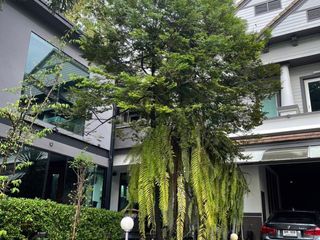 For sale 4 bedrooms house in Suan Luang, Bangkok