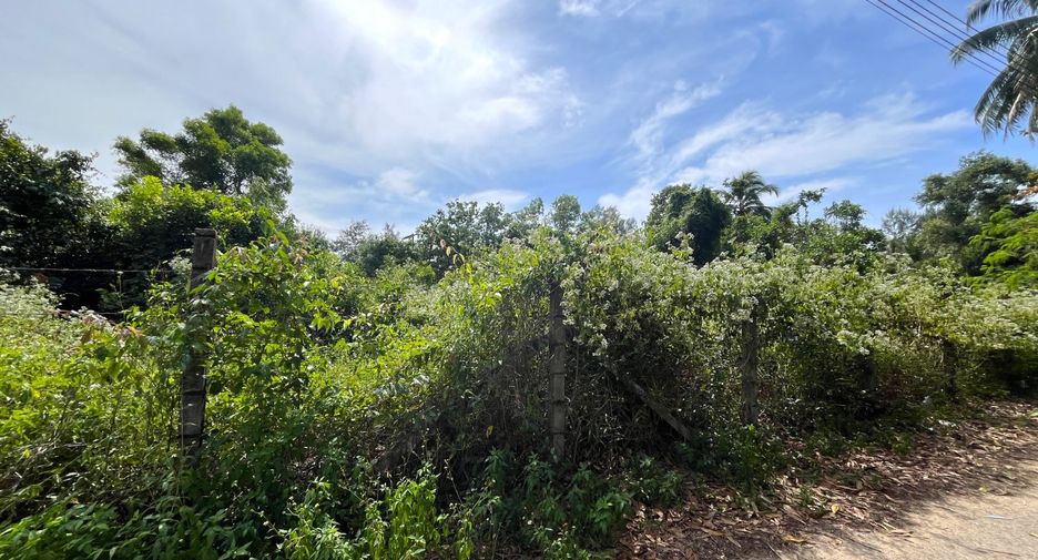 For sale land in Thai Mueang, Phang Nga