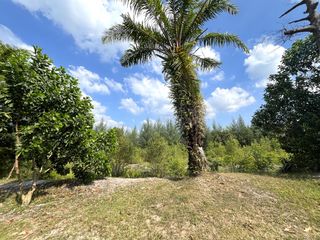 For sale land in Thai Mueang, Phang Nga