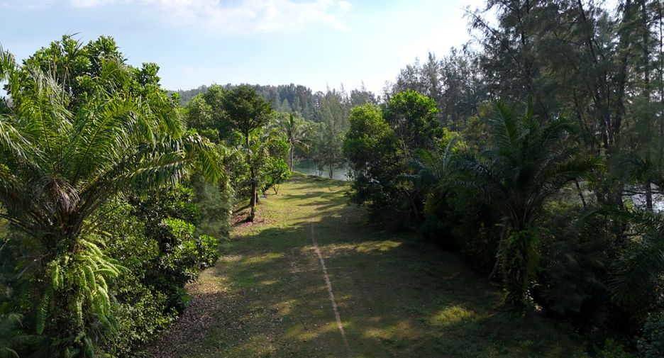 Grundstück zum Kauf in Thai Mueang, Phang Nga