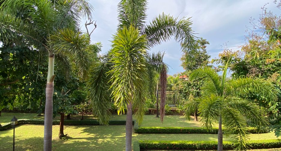 Haus zur Miete und zum Kauf mit 3 Zimmer in Doi Saket, Chiang Mai
