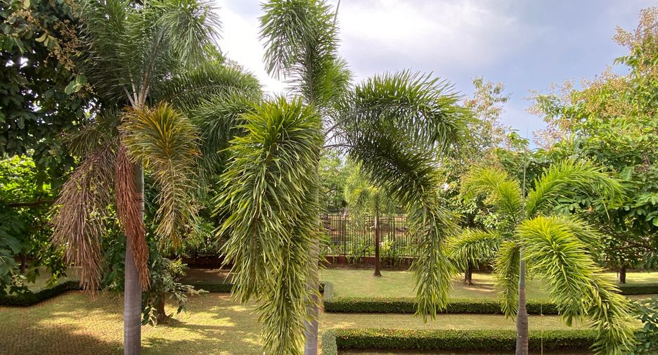 Haus zur Miete und zum Kauf mit 3 Zimmer in Doi Saket, Chiang Mai