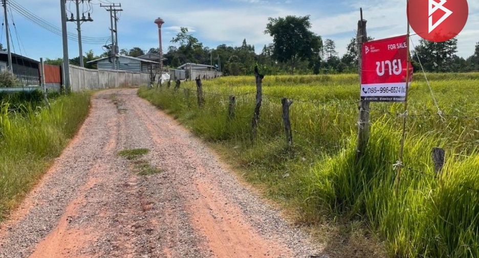 For sale land in Nong Song Hong, Khon Kaen