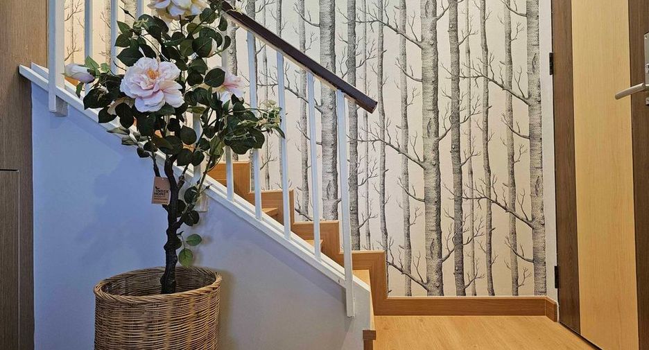 For rent 1 bed condo in Mueang Chiang Mai, Chiang Mai