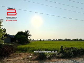 ขาย ที่ดิน ใน หนองหญ้าไซ, สุพรรณบุรี