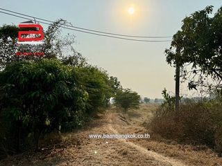 出售 土地 在 Nong Ya Sai, Suphan Buri