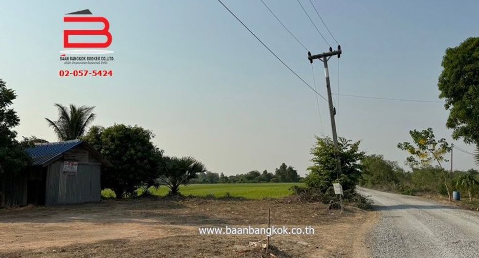 For sale land in Nong Ya Sai, Suphan Buri